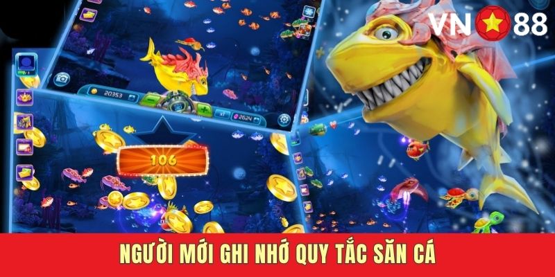 Nguyên tắc săn cá bancah5 cơ bản mà newbie cần biết